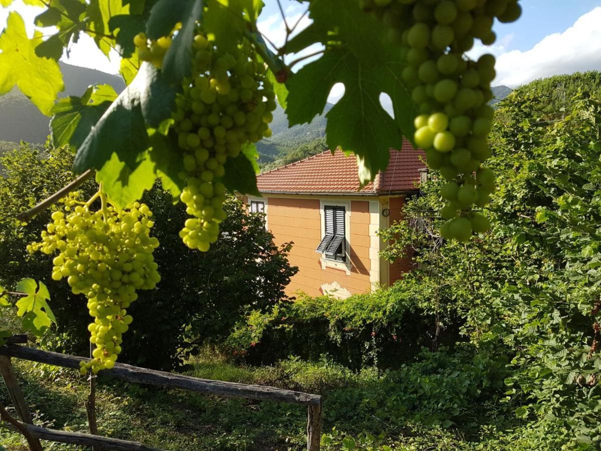 B&B Casa Del Priore Sestri Levante Eksteriør bilde